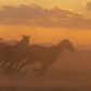 Pony Express National Historic Trail