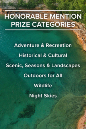 Categories